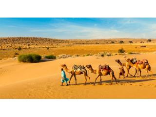 Desert Safari Jaisalmer – Thrilling Sand Dune Fun Tours