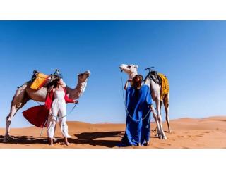 Exclusive Sahara Desert Tour with Luxury Camp from Marrakech