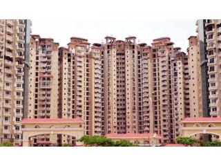 Amrapali Silicon City Noida | Stylish Apartments with Modern Lifestyle
