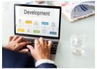 Professional Web Development Agency WordPress Themes for Digital Service Companies