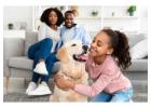 Avayda Pest Control Reliable Exterminator Services Experts 