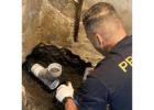 Drain Experts Plumbing in Mississauga 