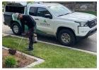 Avayda Pest Control helping mice exterminator in Calgary