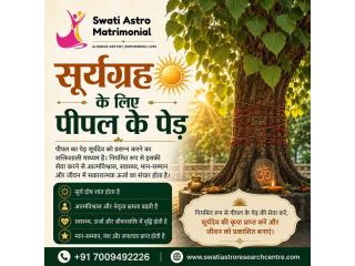 Suryagrah Ke Liye Peepal Ke Ped