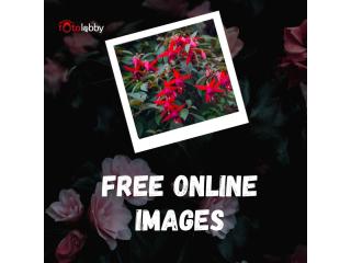 Free Online Images