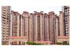 Live Premium at Amrapali Sapphire Noida | Luxury Flats & Modern Comfort