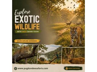 Explore Exotic Wildlife with India Safari Tours