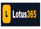 Lotus365 - Online Sports Betting & Casino