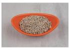 Sunflower Seeds Manufactures