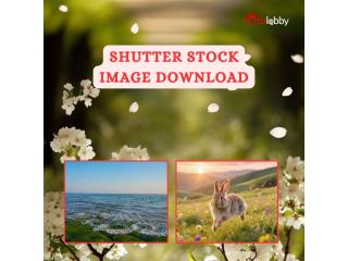 Shutter Stock Image Download