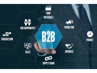 How do suppliers grow through the Best B2B Portal in India?