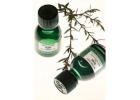 Refresh Your Skin Naturally with Tea Tree Oil Online from The Body Shop