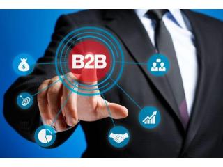 What are the benefits of using Top B2B Marketplace in India?