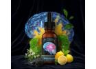 Pineal Guardian X – Nouveau modèle 2026 Copie et Lead | Offre Top Brain EPC