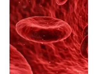 Hematologist in Hyderabad
