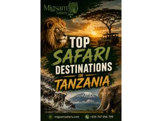 Top Safari Destinations in Tanzania