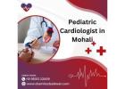 Worried About Your Child’s Heart? Visit Pediatrician Cardiologist in Mohali