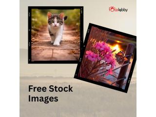 Free Stock Images