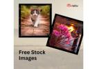 Free Stock Images