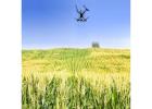 Leading Agriculture Drone Manufacturing Companies in India Driving Smart Farming