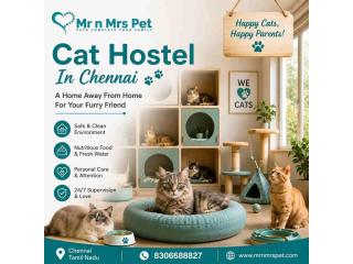 Cat Hostel