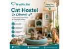 Cat Hostel