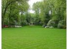 Premium Lawn Solutions for Beautiful Green Outdoor Spaces 