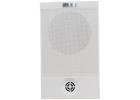Wall Mount Speaker Trader in Delhi for Premium Audio Solutions