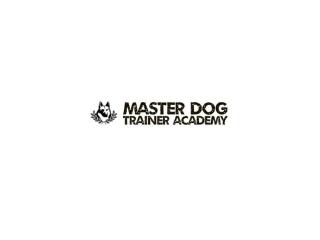 Best Dog Trainer Program in Seal Beach CA