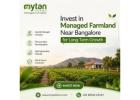 Top Managed Farmland Near Bangalore for Long-Term Growth