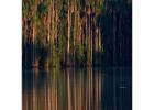 Tambopata National Reserve Packages – Wildlife Jungle Tours | Tree House Inn