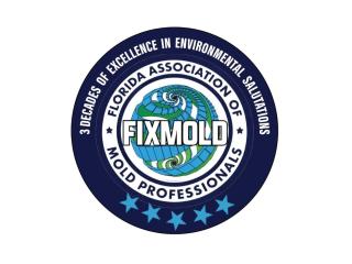 Local Experts for Mold Clearance Testing Fort Lauderdale