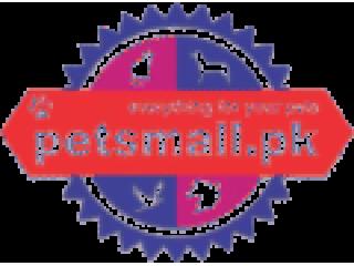 Pets Mall Pakistan | Your Go-To Pet Shop Pakistan