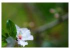 Gentle Mind Support – Natural Emotional Care Options
