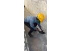 Reliable Pest Management Services for Homes & Offices