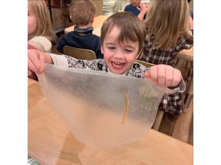Which Cobble Hill Preschool Is Best for My Child's Needs and Learning Style?