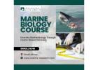 Marine Biology Course South Africa