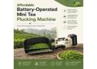 Affordable Battery-Operated Mini Tea Plucking Machine