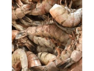 Fresh Seafood Deals – Jumbo Shrimp for Sale