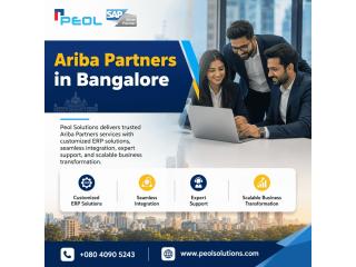 Ariba Partners in India