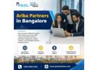Ariba Partners in India