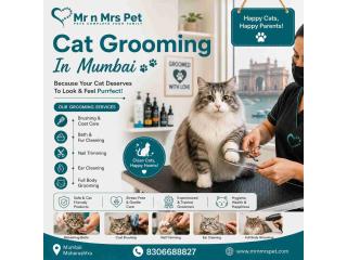 Cat Grooming