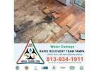 Water Damage Restoration Tampa