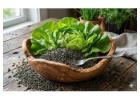 Organic Microgreen Seeds – Healthy Living Starts Here