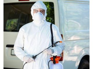 Pest Control Ghaziabad – Safe & Effective Pest Removal Services