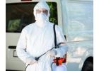 Pest Control Ghaziabad – Safe & Effective Pest Removal Services