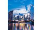 Montreal to Mumbai Flight Deals Cheap Fare Booking Options