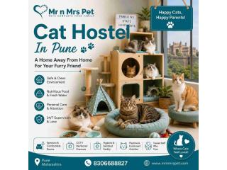 Cat Hostel
