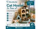 Cat Hostel