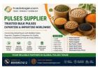 Pulses Supplier – Trusted Bulk Pulses Exporters & Importers Worldwide 